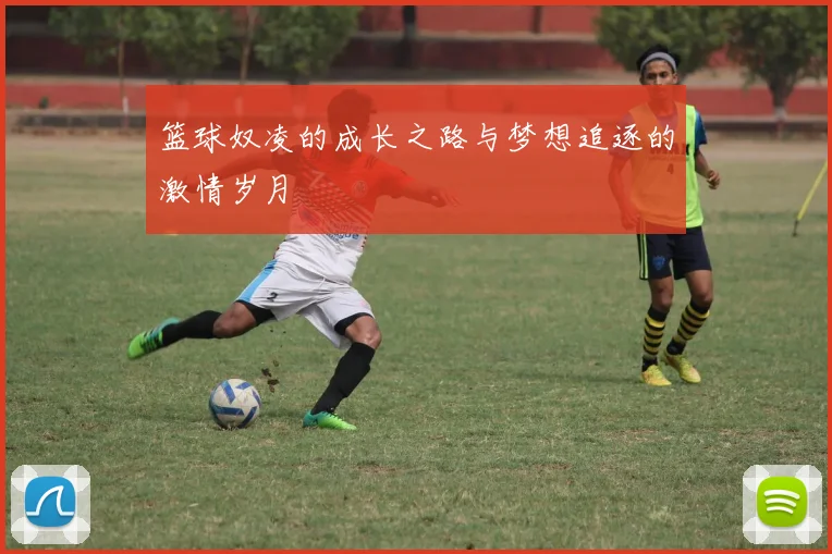 篮球奴凌的成长之路与梦想追逐的激情岁月