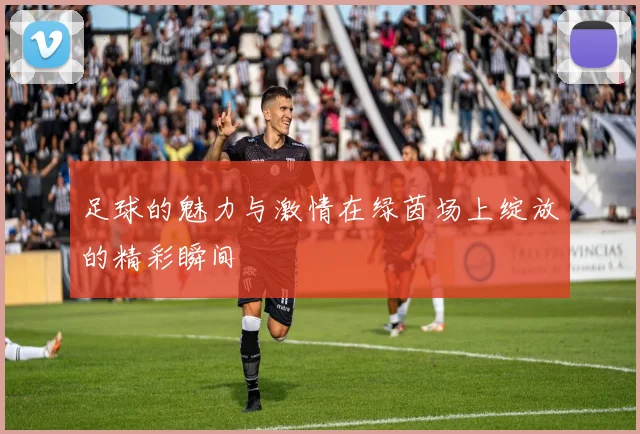 足球的魅力与激情在绿茵场上绽放的精彩瞬间
