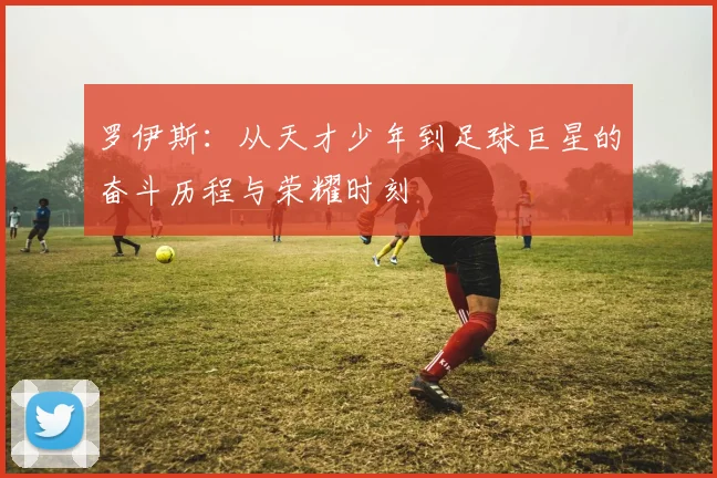 罗伊斯：从天才少年到足球巨星的奋斗历程与荣耀时刻