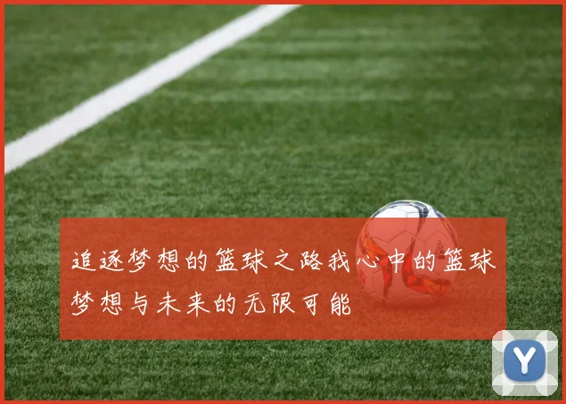 追逐梦想的篮球之路我心中的篮球梦想与未来的无限可能