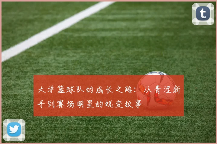 大学篮球队的成长之路：从青涩新手到赛场明星的蜕变故事
