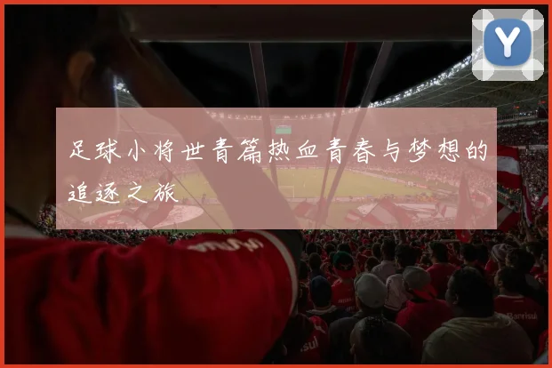 足球小将世青篇热血青春与梦想的追逐之旅