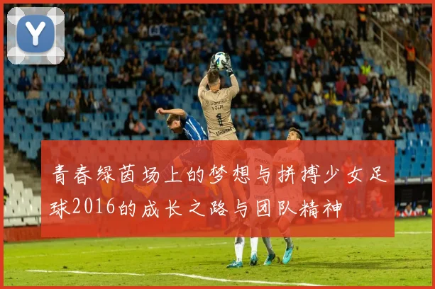 青春绿茵场上的梦想与拼搏少女足球2016的成长之路与团队精神