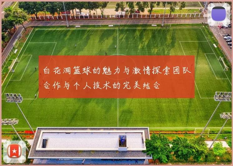 白花洞篮球的魅力与激情探索团队合作与个人技术的完美结合